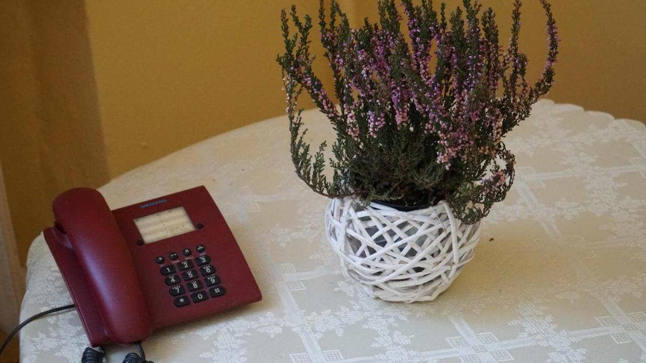 Bed and Breakfast Bks Stal Olimp Бельсько-Бяла Екстер'єр фото